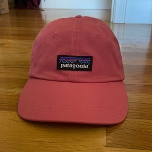 Patagonia 6 panel hat